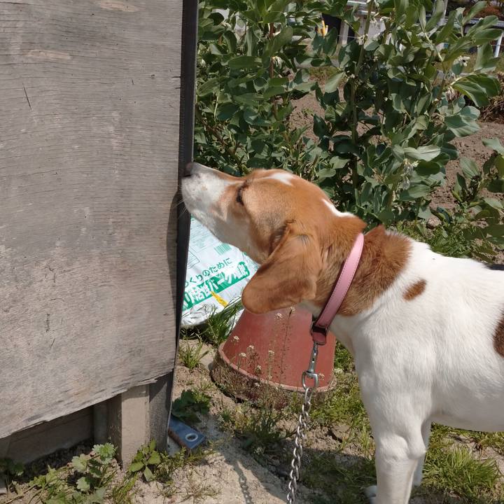 E42988c5 df8b 4215 9596 e87a5a6ea45a 1586318503157