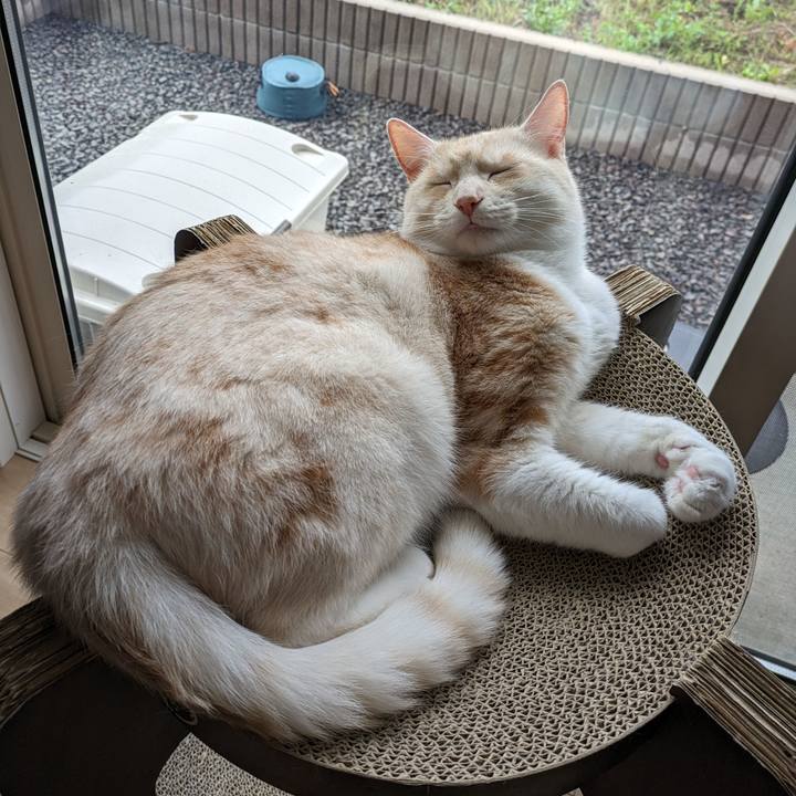 E4299aa9 2c02 45b2 b5a3 8bdb83e96dab 1686628367596