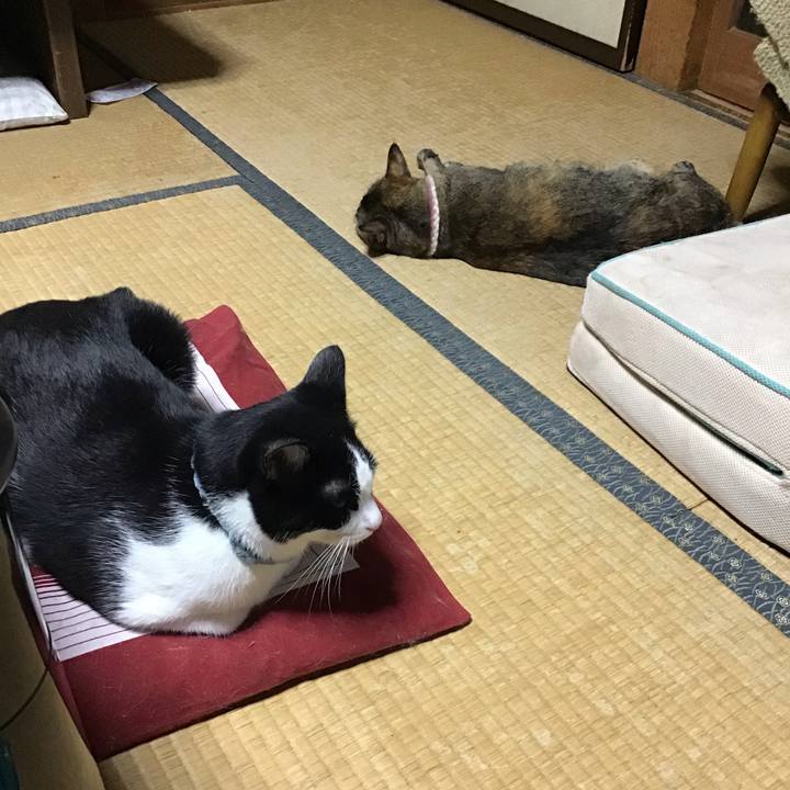 E429afeb 8d78 47dd a9e7 3c5ba46c1eb2 1663159776978