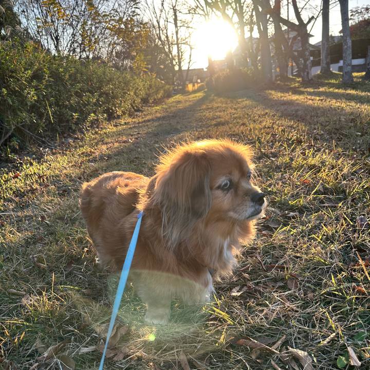 E42a0a27 ca58 47c3 b8d0 09a4385b71f9 1764539348579