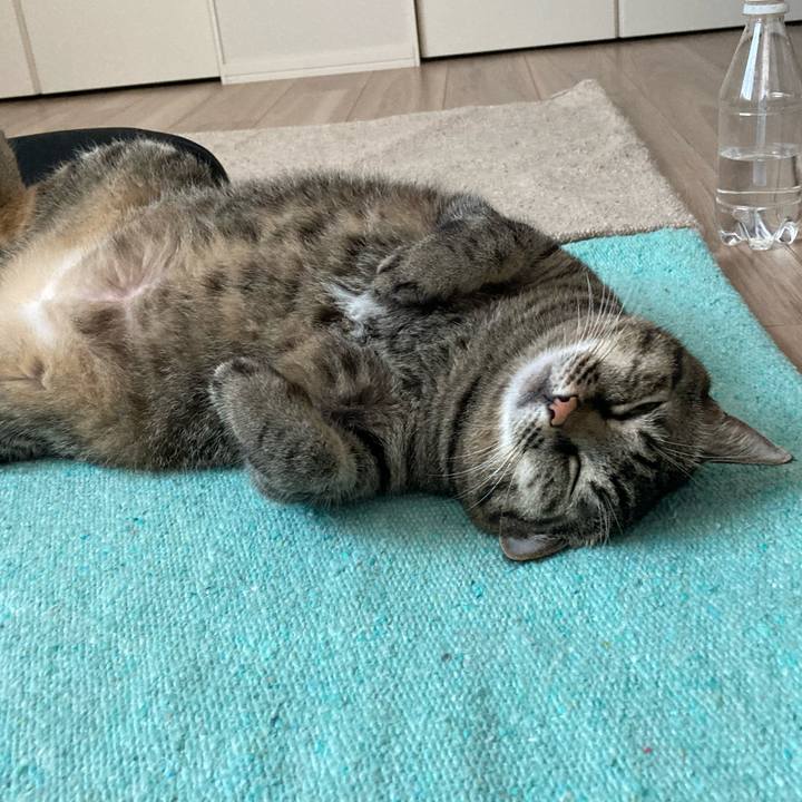 E42a4add 6acc 43b9 ad57 3d1a4e628004 1664839389731