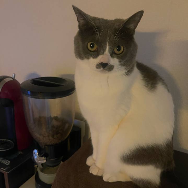 E42a58e7 fe0d 482f 8575 c88cab90325a 1736809733727