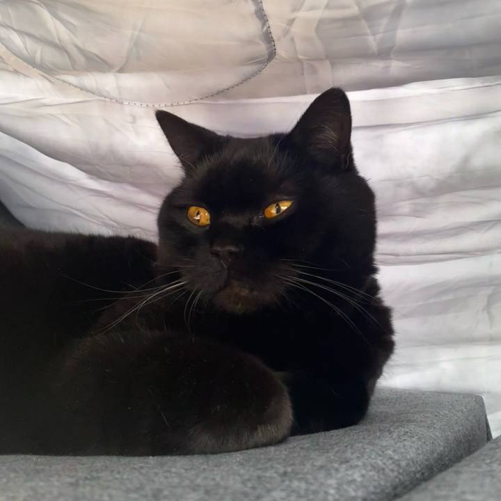 E42a705d 0891 4a6c 8edb b48c394924c9 1773836289136