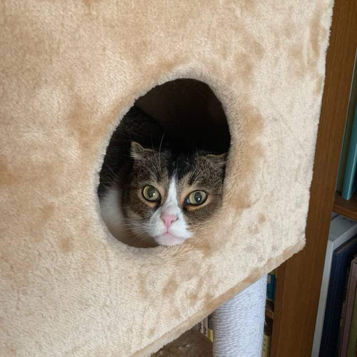 E42a8b16 ed04 4f42 a669 89c732550a33 1616800311465