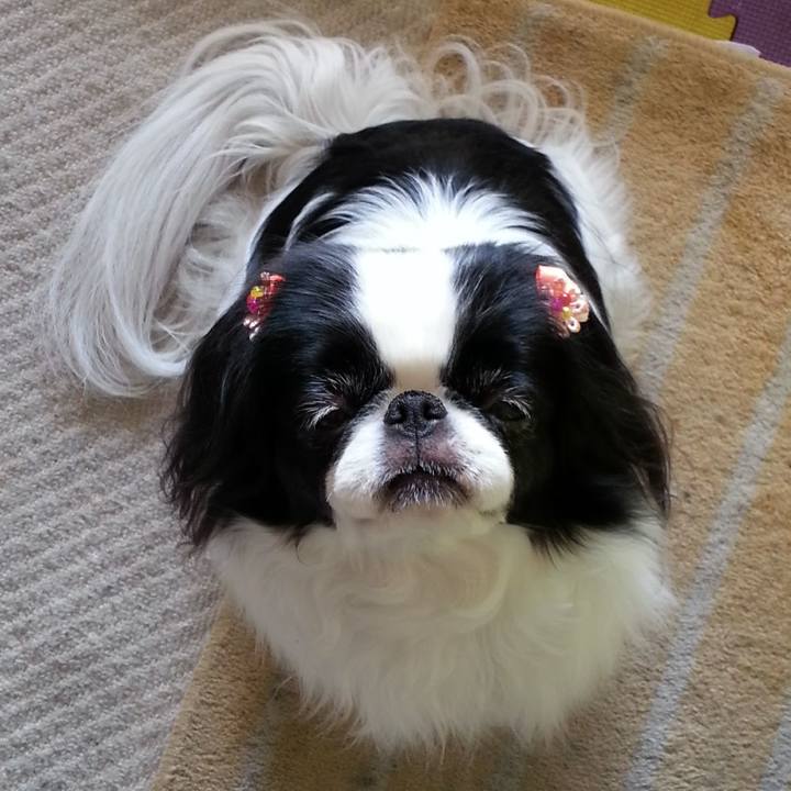 E42ac38e 6ddd 4662 b76e 1ec4b6eb1071 1697950110229