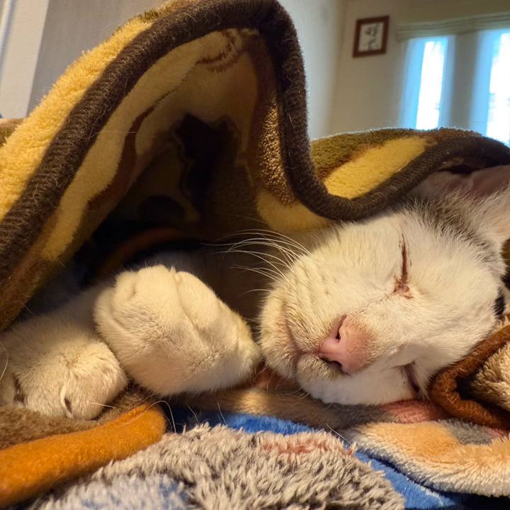 E42afc15 ba09 439e 91a9 7e5678f264bc 1768887623623