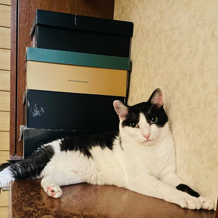 E42b1ec2 85c6 4340 b306 a0fdf1ba2844 1661911487397