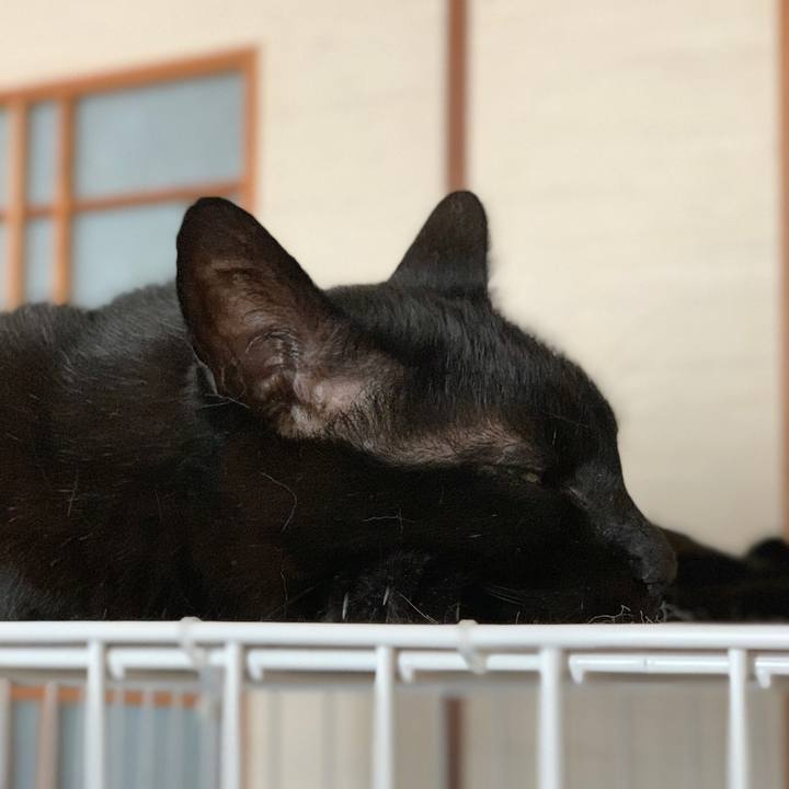 E42b22d7 814b 4aa4 8c45 95b61308dde0 1591922638330