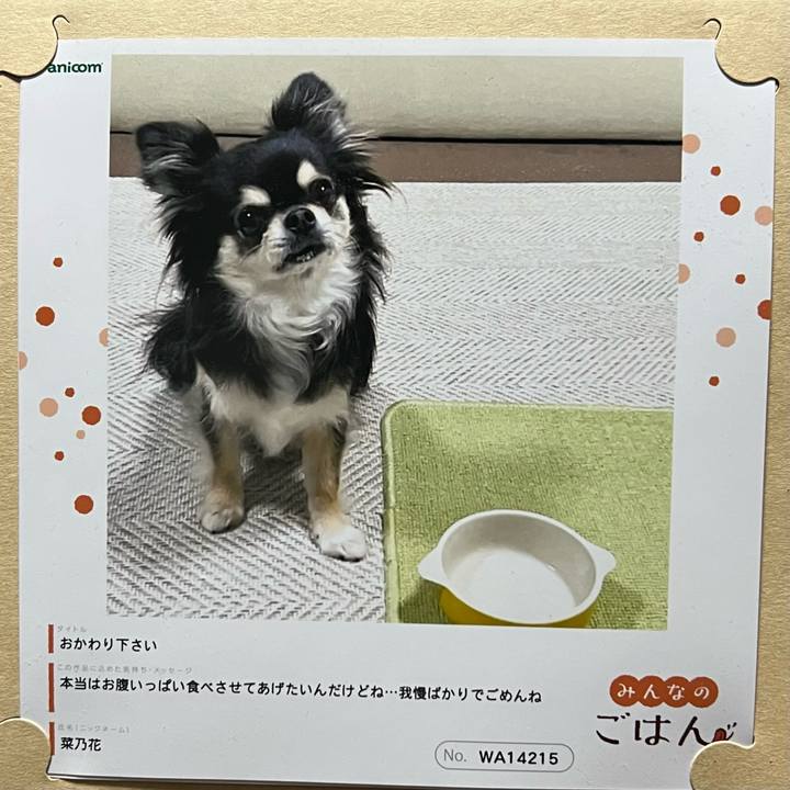 E42b4359 659e 4bc7 a756 85160bcbb618 1696929933252