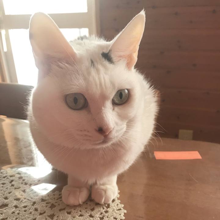 E42bc92b fd34 45f2 af5e 4da4cb386a64 1640908867644