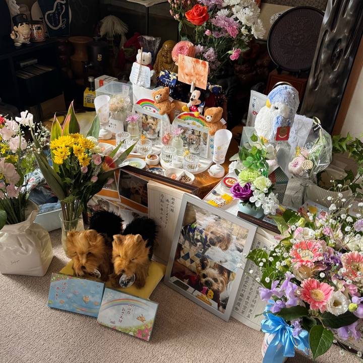 E42be645 1b3f 4848 9ae2 03c5c790906b 1740820870471