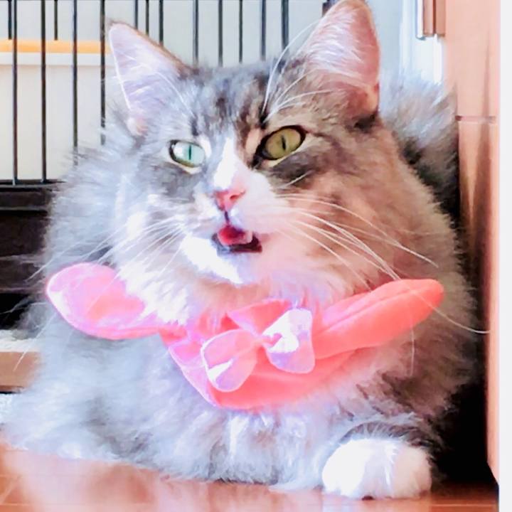 E42bf563 9ad7 4e8b 8a9c cfbc46cd9838 1513470884954