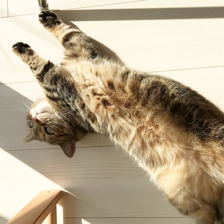 E42c0b1b c0d2 4e2e ab68 8a3d5b113962 1522046931678