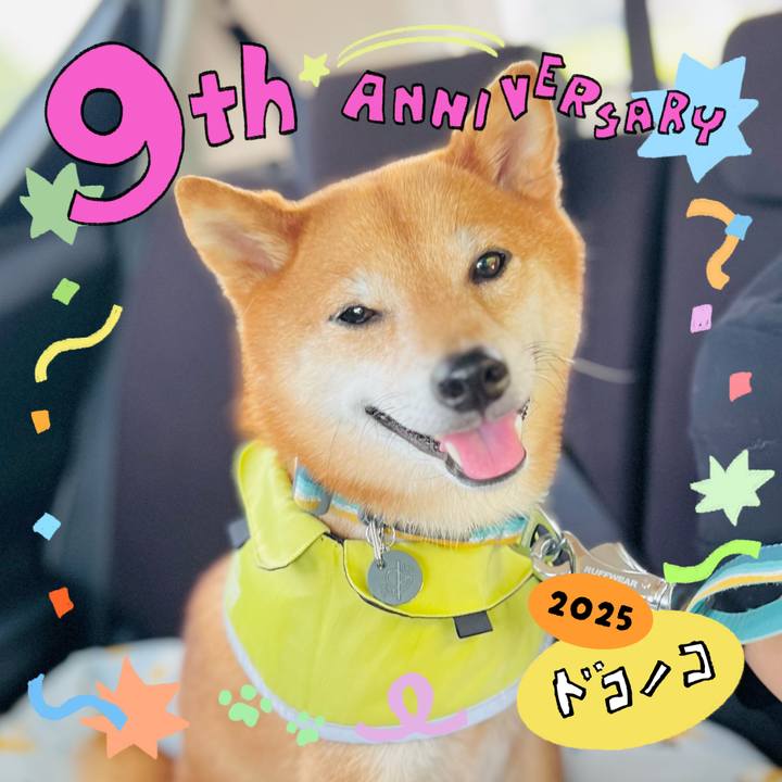 E42c2d50 b824 401b b9f7 476b3a487ba3 1749224597668