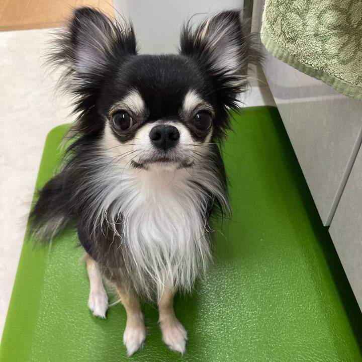 E42c3104 ec73 4593 aa72 1a9b39adb5b1 1618033577170