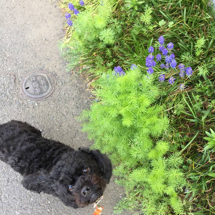 E42c4e8e f7b7 43c8 9541 91d3dd077491 1522515044909