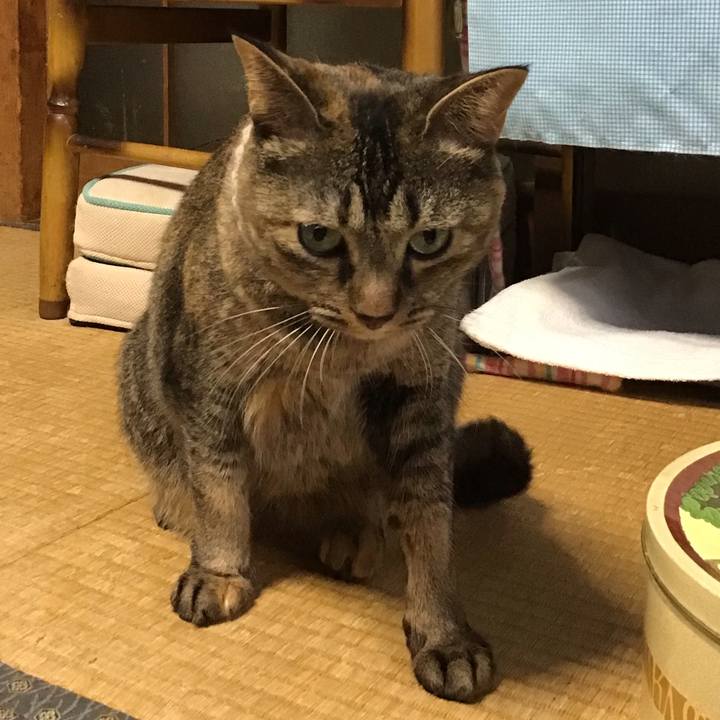 E42c7a28 109d 4e29 aba0 e404dd09face 1664351455817