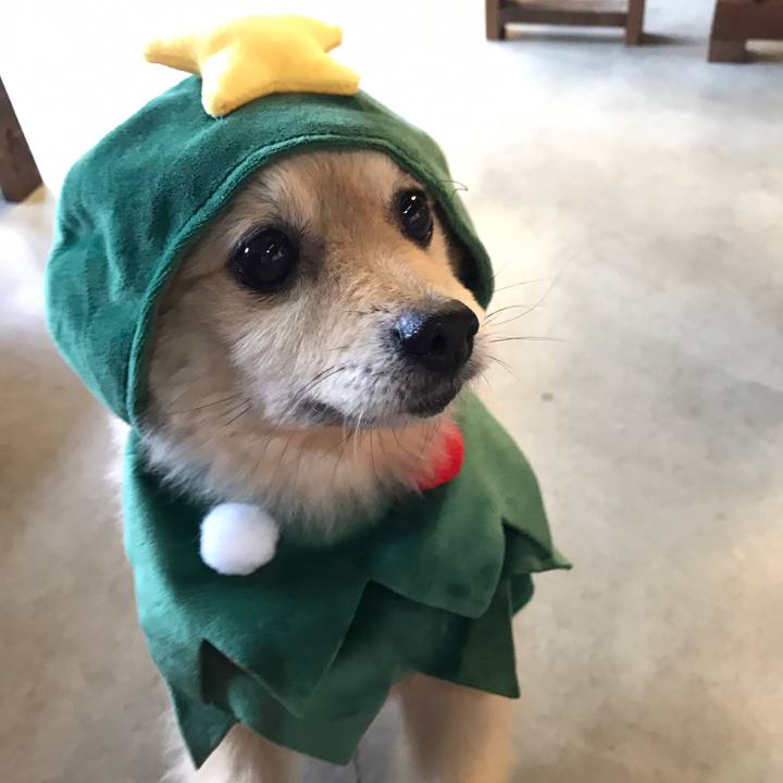 E42ccec9 1fa8 4acb b49e 61e2cfbc96c9 1577283824526