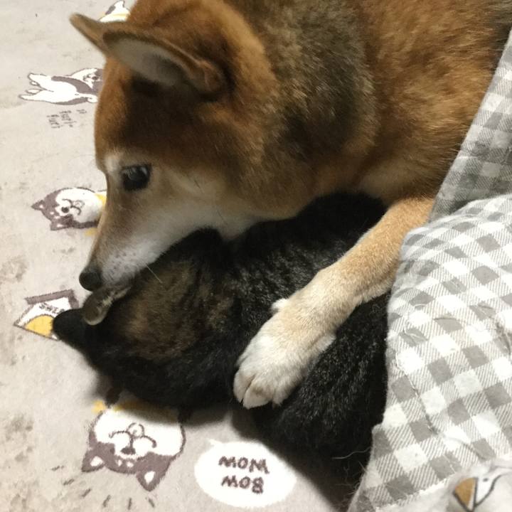 E42ced42 902b 4939 b015 ee12e61fa6cc 1606480328889