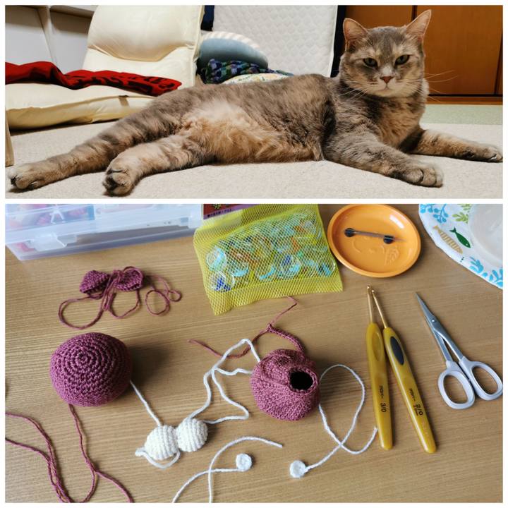 E42cf244 2cd1 467a a530 75b32506e6a8 1627826614436