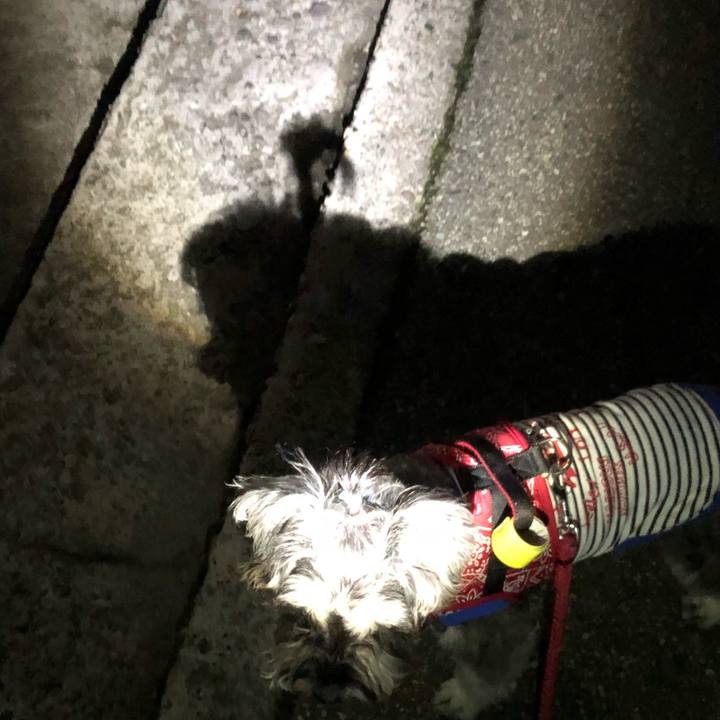 E42cfa74 e391 43de 9167 8a0e4a6d6937 1521889347795