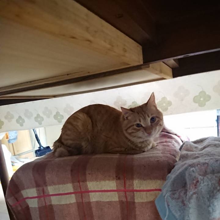 E42d0079 0af5 4a2e 98b0 754e1bce5c34 1644874322382