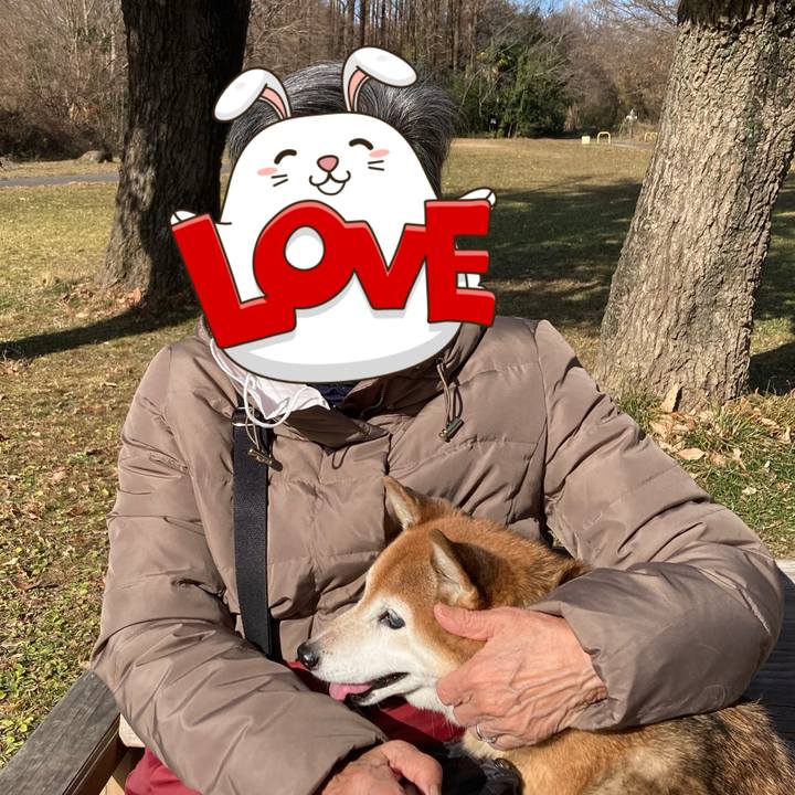 E42d028c bdb2 4855 83f8 65bf67b14155 1735114420217