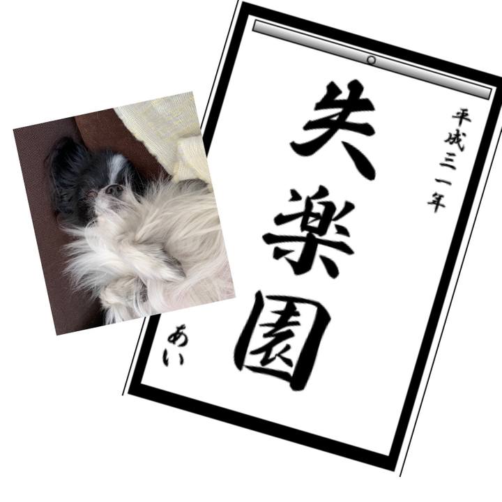 E42d2603 f443 4240 9096 5401ea1986d0 1546338214191