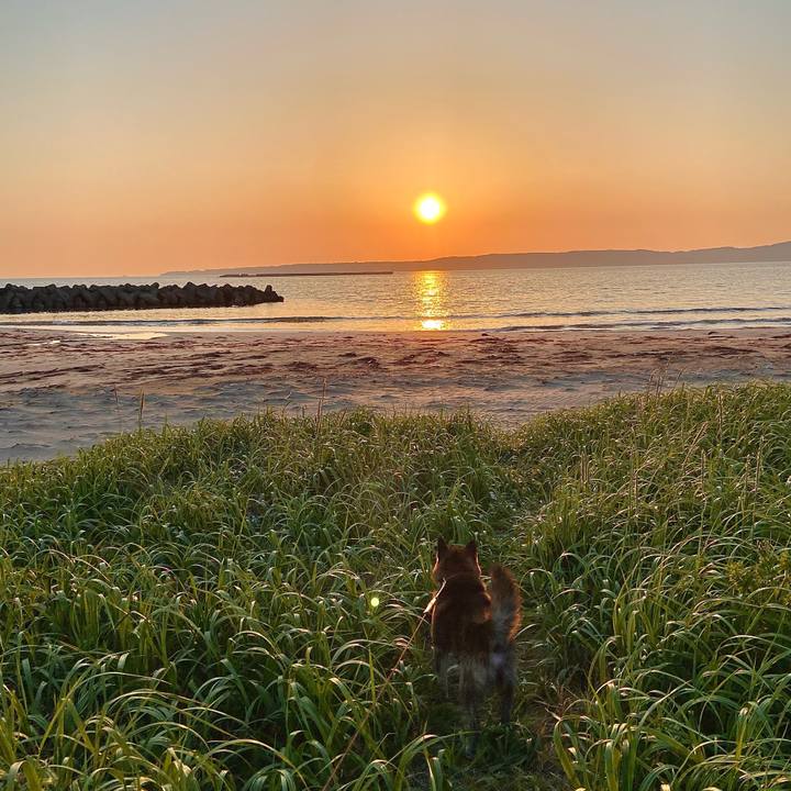 E42d39a6 b569 4b0d 82ac dc0214480088 1651834618839