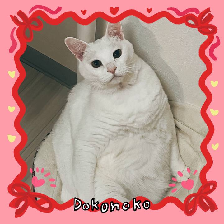 E42d6947 926d 4e8c b3ad 3a227dc4adbd 1706880001168