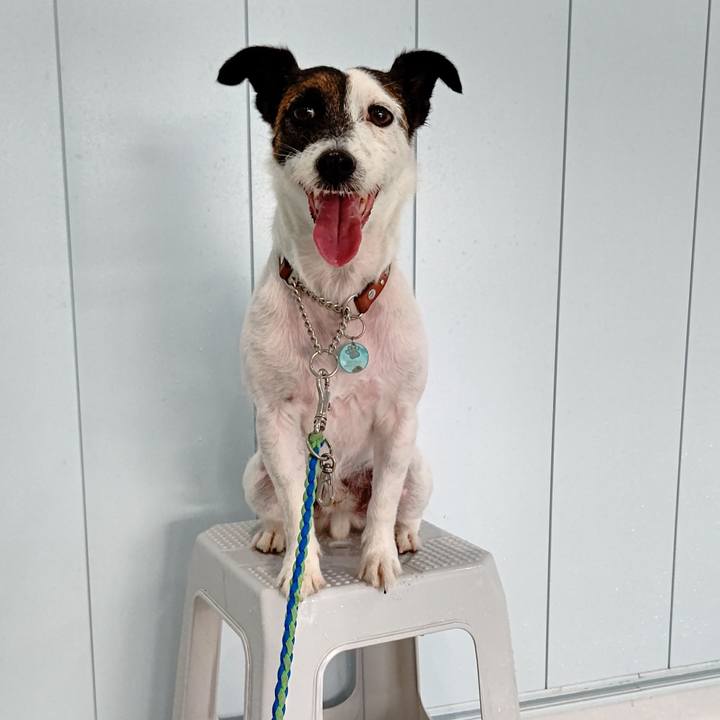 E42d87f2 dd1b 41f6 b154 1af8ab270fd3 1630159634128