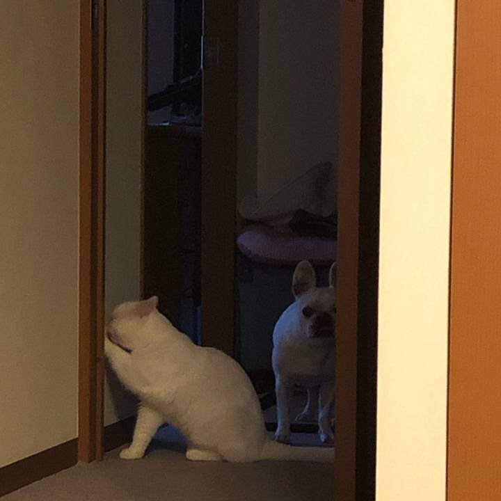 E42df08b 845a 4846 b6d9 13056b183517 1588723418928