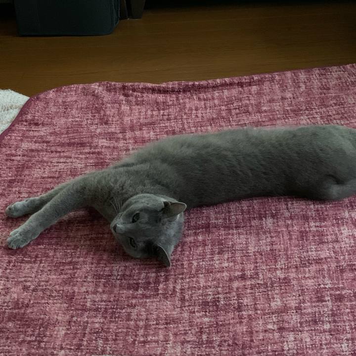 E42e48eb 4c2e 4a61 af02 14a803587ebc 1594157052707