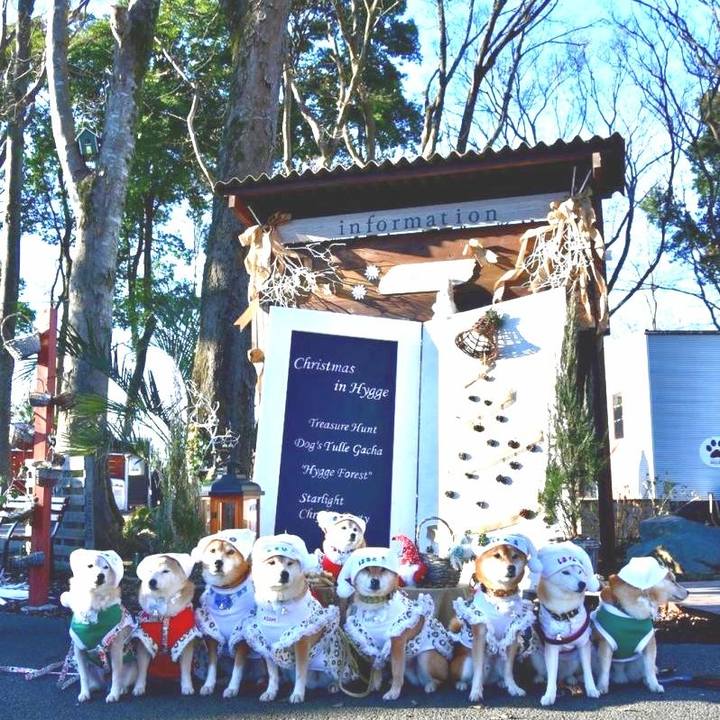 E42e5f30 1835 4176 8ce2 52414ddb53a2 1672129844998