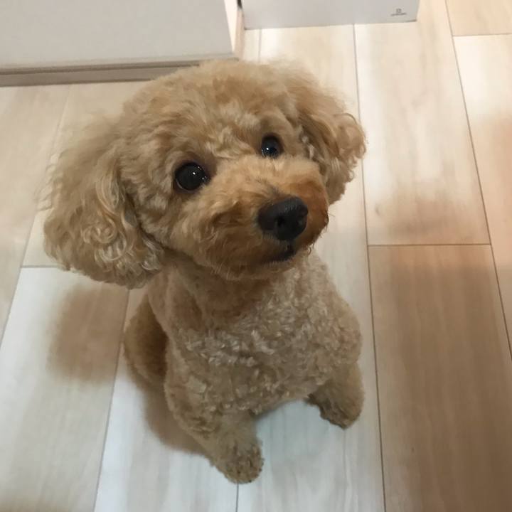 E42e6aab cc52 47f7 97fd 3093c9694da8 1559746428002