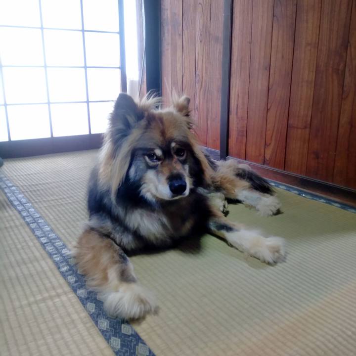 E42e6bce 8791 4244 8c83 83b4c1644ea0 1592627016995