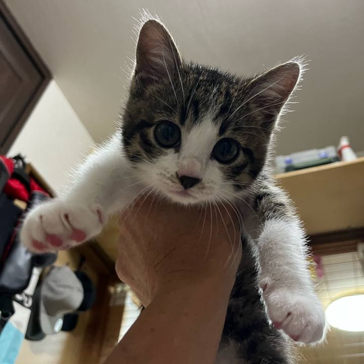 E42ebaa4 428e 4649 9e89 ad4ef5bc6fad 1767069587964