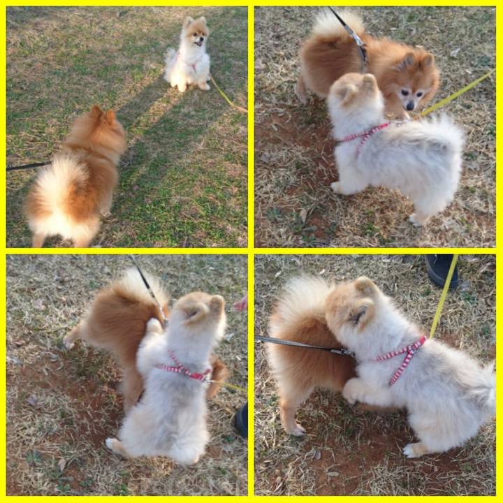 E42ecbf6 e3d4 499c bb2a 3040d54702bc 1522054746749