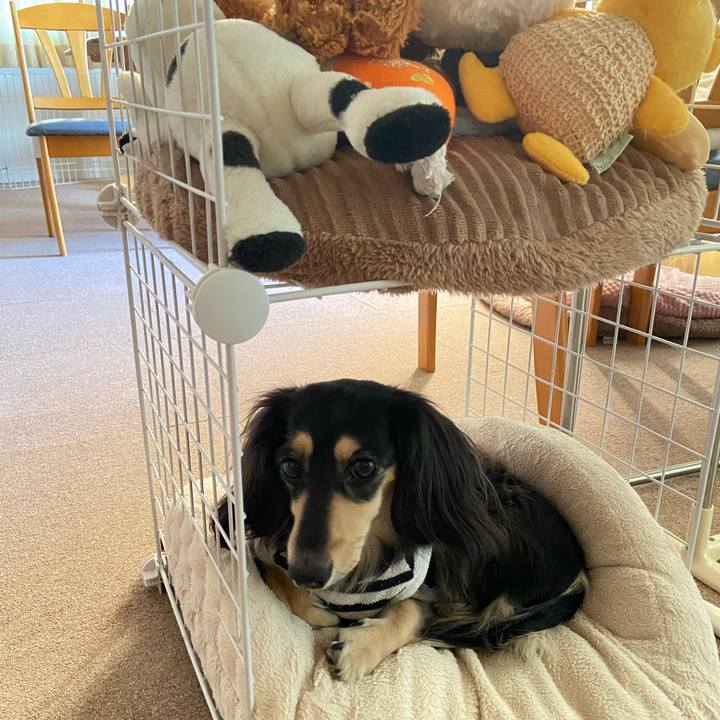 E42ed693 2326 4f3b 8c48 5befdf5de6d8 1739778791961