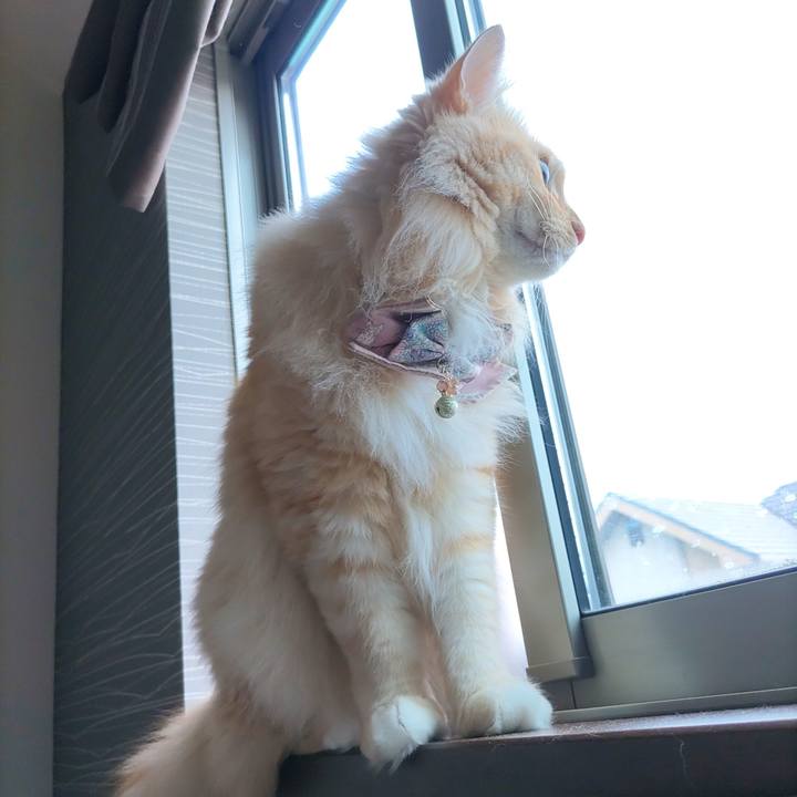 E42edabf 1986 45fe bdde 9085bc2ed58a 1722040278645