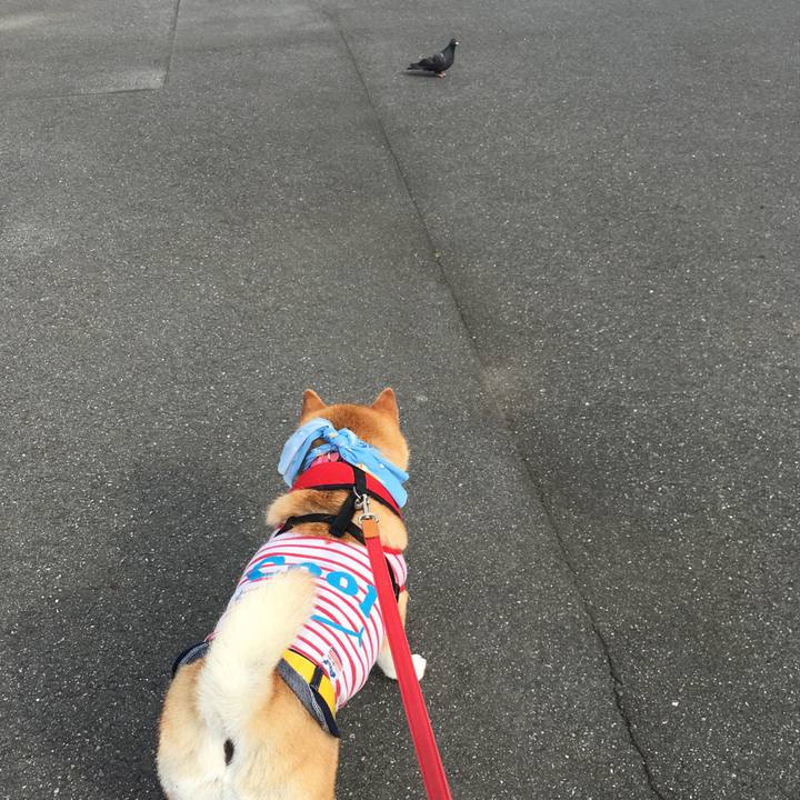 E42edf9d c8e8 4c82 a8a4 aac52d7e6598 1596845378829