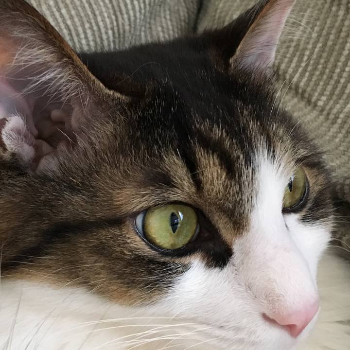 E42f1a1d 51da 431e 918e 8ab610a42ee1 1552127938597