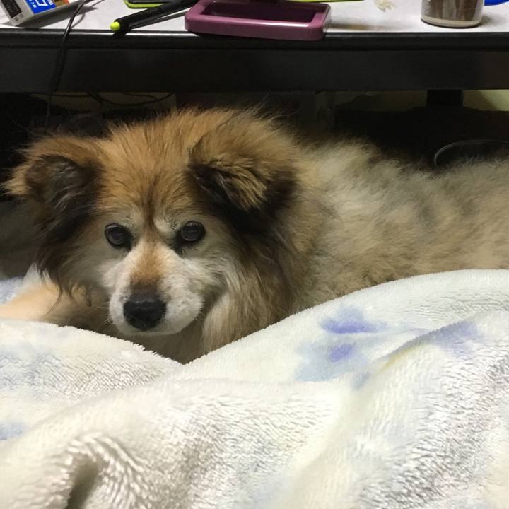 E42f1b77 712c 4113 a984 a6bf0479651c 1593979968534