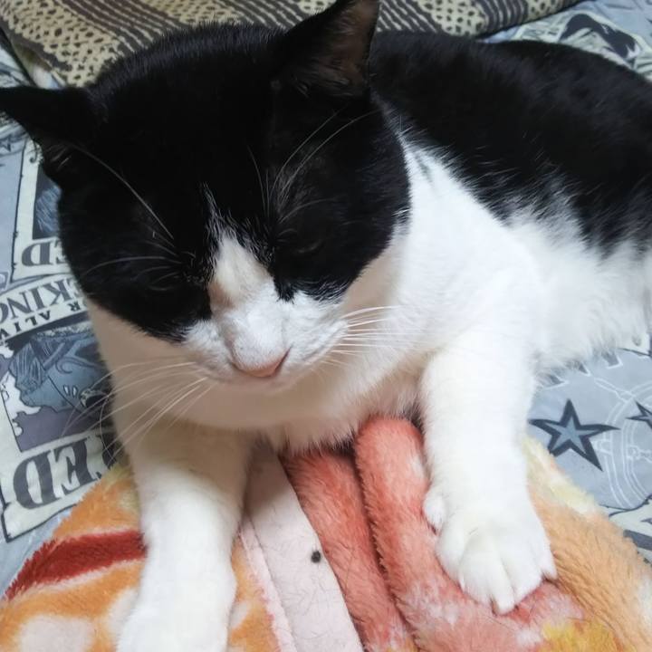 E42f29c0 a1d7 49f7 97dd 0fc1bcda3caf 1571867574256