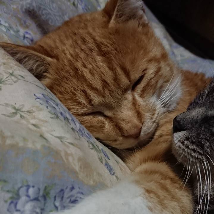 E42f3368 8a45 4b24 9c08 0cfa16041658 1578658773584