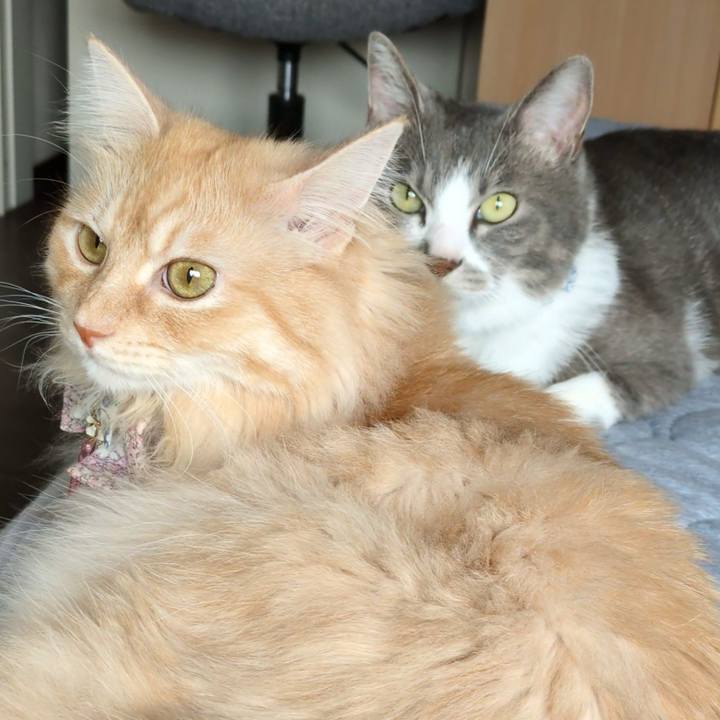 E42f38be 7ddc 4724 8fba bc512be6c628 1755767455001