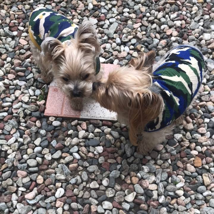 E42f5acc ce37 46ed b3cc 63b87b5d5d3f 1590312626337