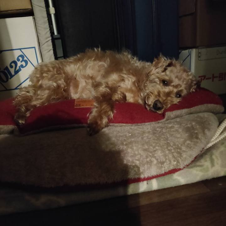 E42f73e0 68bc 464f 9a82 2c6f4ddbac0f 1582369522812