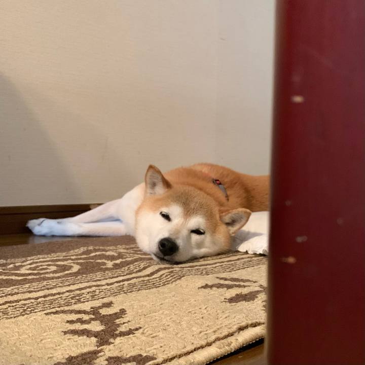 E42f7fda be1e 4669 9cb3 c8add67cf9ab 1688814644565