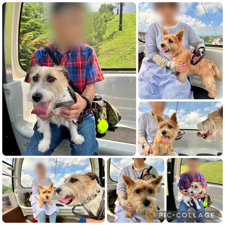 E42f8ce2 1e86 4ad9 b01d 11deeacddae5 1722692315483